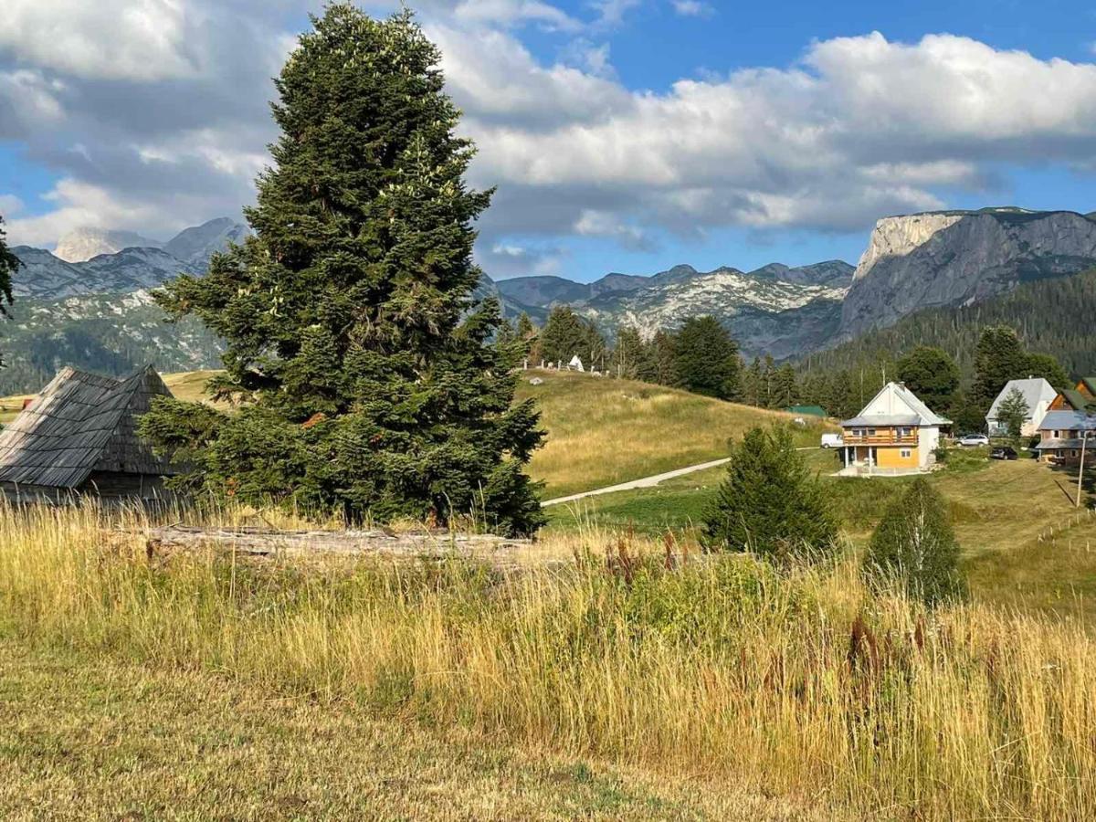 Apartman Bukovac Žabljak 外观 照片