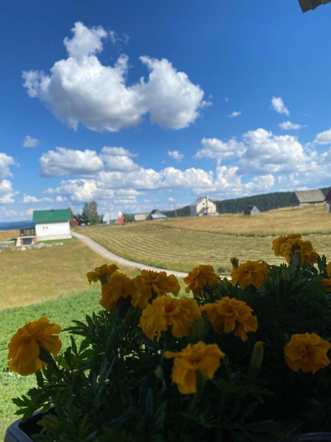 Apartman Bukovac Žabljak 外观 照片