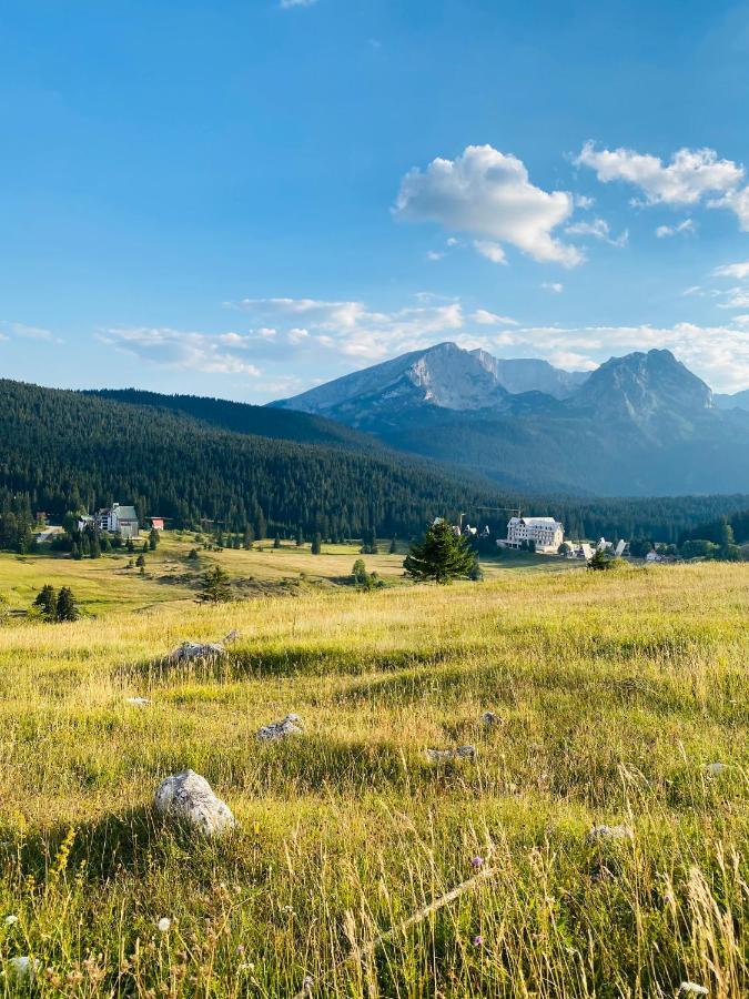 Apartman Bukovac Žabljak 外观 照片